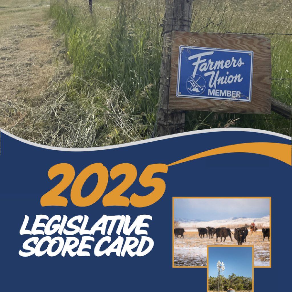 2025 Legislative Score Card
