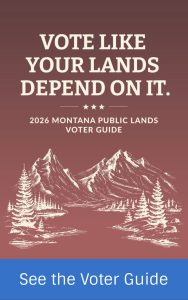 wild-mt-voter-guide
