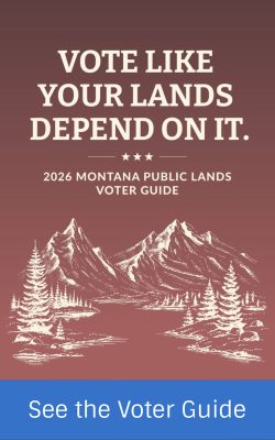 wild-mt-voter-guide wild-mt-voter-guide